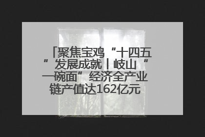 聚焦宝鸡“十四五”发展成就丨岐山“一碗面”经济全产业链产值达162亿元 入选全国典型县