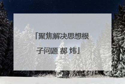 聚焦解决思想根子问题 郝 炜