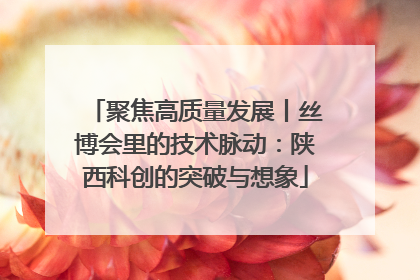 聚焦高质量发展丨丝博会里的技术脉动：陕西科创的突破与想象