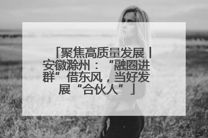 聚焦高质量发展丨安徽滁州：“融圈进群”借东风，当好发展“合伙人”