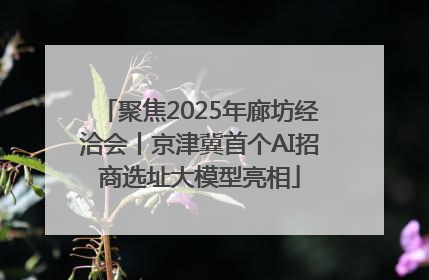 聚焦2025年廊坊经洽会丨京津冀首个AI招商选址大模型亮相