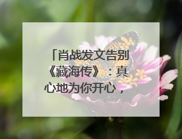 肖战发文告别《藏海传》：真心地为你开心，有这么多人懂你，导演回应“是否有第二季”