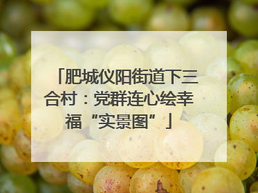 肥城仪阳街道下三合村：党群连心绘幸福“实景图”