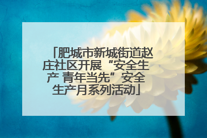 肥城市新城街道赵庄社区开展“安全生产 青年当先”安全生产月系列活动