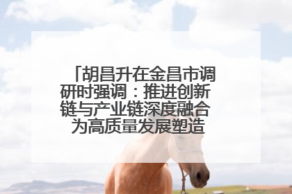 胡昌升在金昌市调研时强调：推进创新链与产业链深度融合 为高质量发展塑造新动能新优势