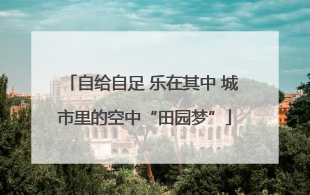 自给自足 乐在其中 城市里的空中“田园梦”