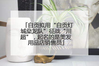 自贡拟用“自贡灯城燊龙队”征战“川超”，起名的是美发用品店销售员