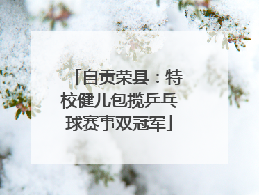 自贡荣县：特校健儿包揽乒乓球赛事双冠军