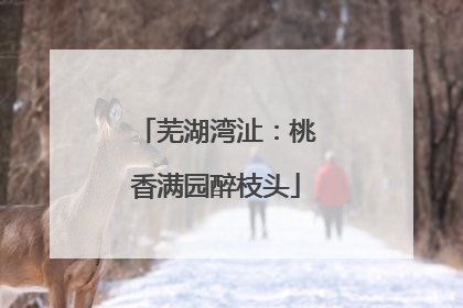 芜湖湾沚：桃香满园醉枝头