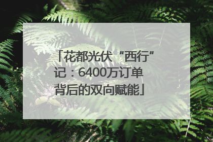 花都光伏“西行”记：6400万订单背后的双向赋能