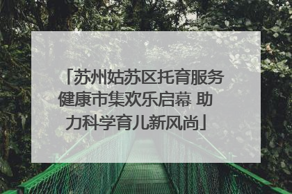 苏州姑苏区托育服务健康市集欢乐启幕 助力科学育儿新风尚