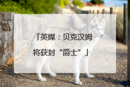 英媒：贝克汉姆将获封“爵士”