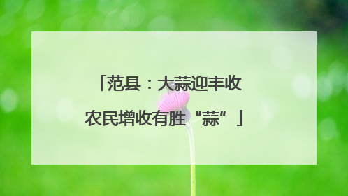 范县：大蒜迎丰收 农民增收有胜“蒜”