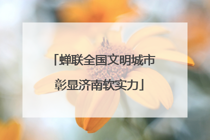 蝉联全国文明城市 彰显济南软实力