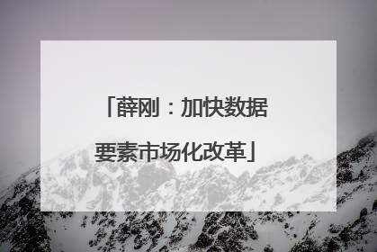 薛刚：加快数据要素市场化改革
