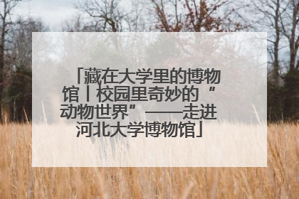 藏在大学里的博物馆丨校园里奇妙的“动物世界”——走进河北大学博物馆