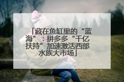 藏在鱼缸里的“蓝海”：拼多多“千亿扶持”加速激活西部水族大市场