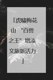 虎啸梅花山 “百兽之王”增添文旅新活力