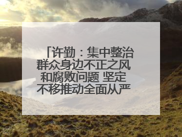 许勤：集中整治群众身边不正之风和腐败问题 坚定不移推动全面从严治党向基层延伸