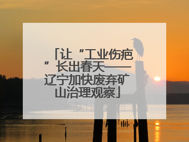 让“工业伤疤”长出春天——辽宁加快废弃矿山治理观察