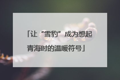 让“雪豹”成为想起青海时的温暖符号