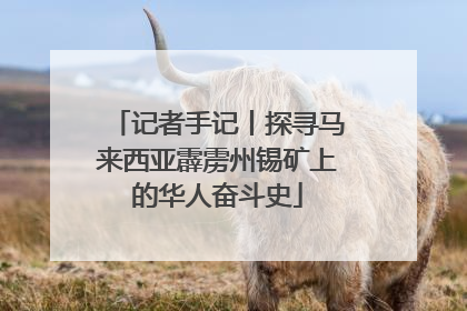 记者手记丨探寻马来西亚霹雳州锡矿上的华人奋斗史