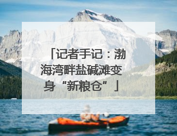 记者手记：渤海湾畔盐碱滩变身“新粮仓”