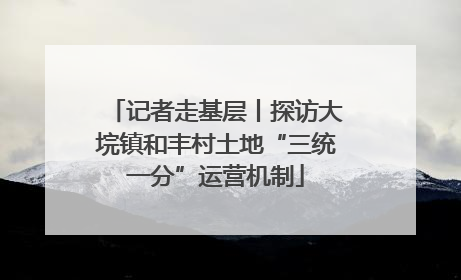 记者走基层丨探访大垸镇和丰村土地“三统一分”运营机制