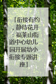 衔接有约，静待花开：福莱山街道中心幼儿园开展幼小衔接专题讲座