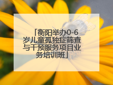 衡阳举办0-6岁儿童孤独症筛查与干预服务项目业务培训班