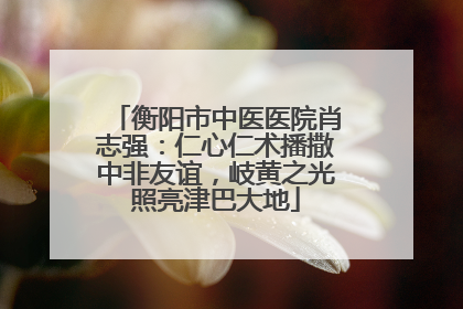衡阳市中医医院肖志强：仁心仁术播撒中非友谊，岐黄之光照亮津巴大地