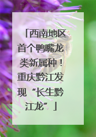 西南地区首个鸭嘴龙类新属种！重庆黔江发现“长生黔江龙”