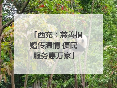 西充：慈善捐赠传温情 便民服务惠万家