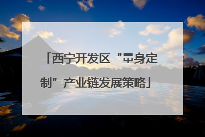 西宁开发区“量身定制”产业链发展策略