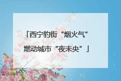 西宁豹街“烟火气” 燃动城市“夜未央”