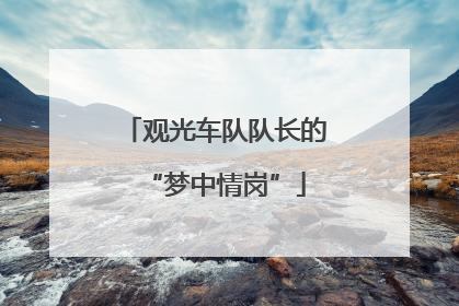 观光车队队长的“梦中情岗”