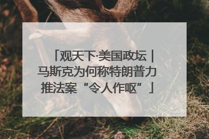 观天下·美国政坛｜马斯克为何称特朗普力推法案“令人作呕”
