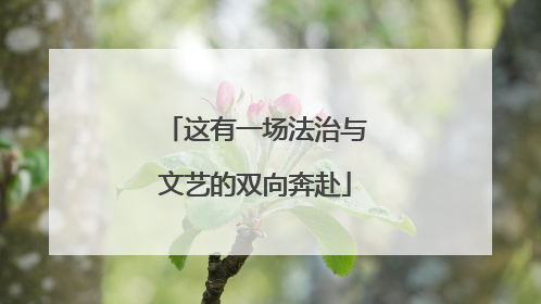 这有一场法治与文艺的双向奔赴