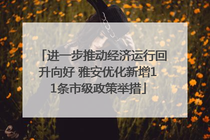进一步推动经济运行回升向好 雅安优化新增11条市级政策举措