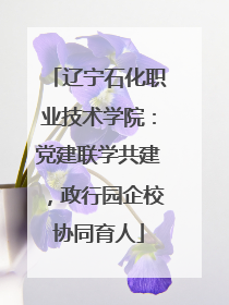 辽宁石化职业技术学院：党建联学共建，政行园企校协同育人