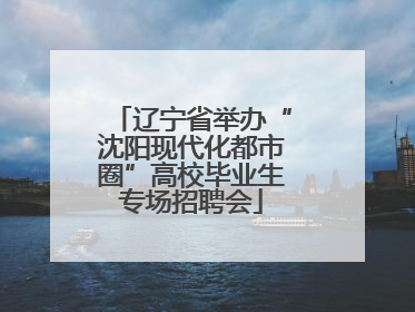 辽宁省举办“沈阳现代化都市圈”高校毕业生专场招聘会