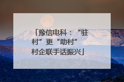 豫信电科：“驻村”更“助村” 村企联手话振兴