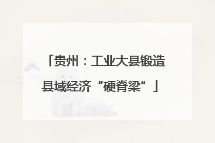 贵州：工业大县锻造县域经济“硬脊梁”