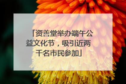 资善堂举办端午公益文化节，吸引近两千名市民参加