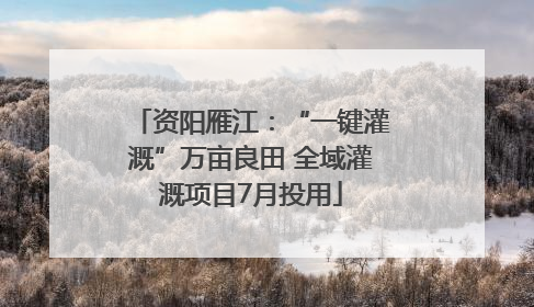 资阳雁江：“一键灌溉”万亩良田 全域灌溉项目7月投用