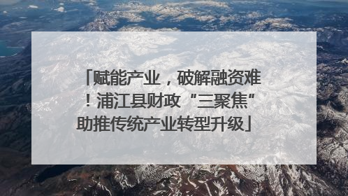 赋能产业，破解融资难！浦江县财政“三聚焦”助推传统产业转型升级