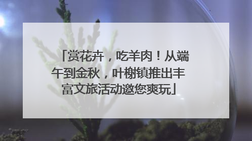 赏花卉，吃羊肉！从端午到金秋，叶榭镇推出丰富文旅活动邀您爽玩