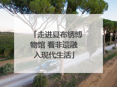 走进夏布绣博物馆 看非遗融入现代生活