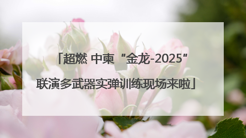 超燃 中柬“金龙-2025”联演多武器实弹训练现场来啦