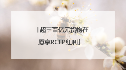 超三百亿元货物在厦享RCEP红利